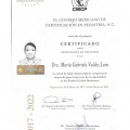 Ampliar imagen: certificate 5