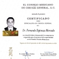 Ampliar imagen: certificate 2