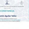 Ampliar imagen: certificate 3