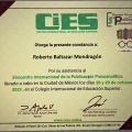 Ampliar imagen: certificate 13