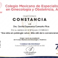 Ampliar imagen: certificate 18