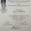 Ampliar imagen: certificate 12