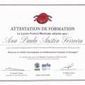 Ampliar imagen: certificate 6