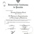 Ampliar imagen: certificate 3