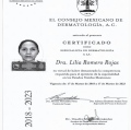 Ampliar imagen: certificate 1