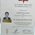 Ampliar imagen: certificate 2