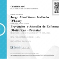 Ampliar imagen: certificate 17