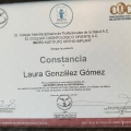 Ampliar imagen: certificate 7