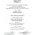 Ampliar imagen: certificate 1