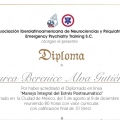 Ampliar imagen: certificate 1