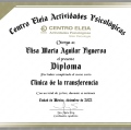 Ampliar imagen: certificate 3
