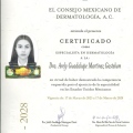 Ampliar imagen: certificate 1