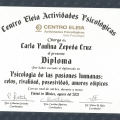 Ampliar imagen: certificate 8