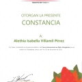Ampliar imagen: certificate 1