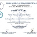 Ampliar imagen: certificate 9