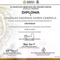 Ampliar imagen: certificate 1