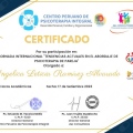 Ampliar imagen: certificate 35