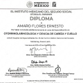 Ampliar imagen: certificate 4