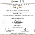 Ampliar imagen: certificate 2