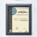 Ampliar imagen: certificate 8