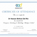 Ampliar imagen: certificate 4