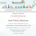 Ampliar imagen: certificate 19