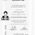 Ampliar imagen: certificate 2