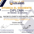 Ampliar imagen: certificate 3