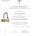 Ampliar imagen: certificate 5
