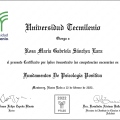 Ampliar imagen: certificate 1