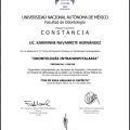 Ampliar imagen: certificate 5