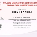 Ampliar imagen: certificate 10