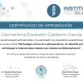 Ampliar imagen: certificate 4