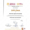 Ampliar imagen: certificate 3