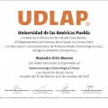 Ampliar imagen: certificate 8
