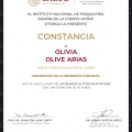 Ampliar imagen: certificate 2