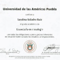 Ampliar imagen: certificate 5