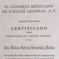 Ampliar imagen: certificate 1