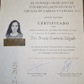 Ampliar imagen: certificate 1