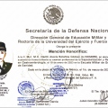 Ampliar imagen: certificate 3