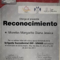 Ampliar imagen: certificate 7
