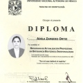 Ampliar imagen: certificate 5
