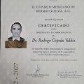 Ampliar imagen: certificate 2