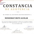 Ampliar imagen: certificate 3