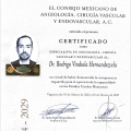 Ampliar imagen: certificate 2