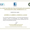 Ampliar imagen: certificate 3