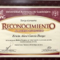 Ampliar imagen: certificate 4
