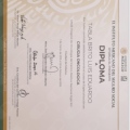 Ampliar imagen: certificate 5