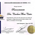 Ampliar imagen: certificate 8