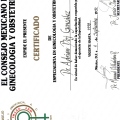 Ampliar imagen: certificate 13